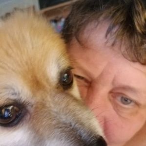 Meet your Posher, Dee